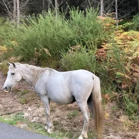 Casa Ponto Da Cruz *