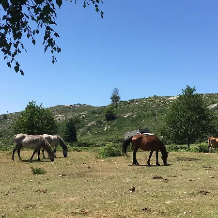 Casa Ponto Da Cruz Casa de Férias