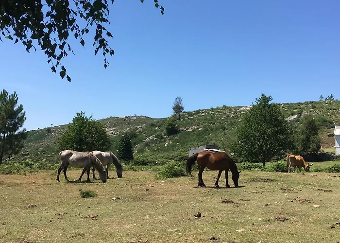 Casa Ponto Da Cruz Ferienhaus